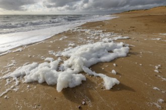 Windswept sea foam on a beach in the Atlantic Ocean near Olonne sur mer in France