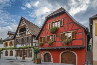Street with historical houses in Ribeauville, Alsace, France