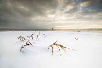 Snow-covered landscape with a few dried grasses, a cloudy sky and a calm horizon, Strandbad Hörnle,