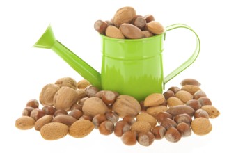 Watering can with assortment nuts isolated over white background