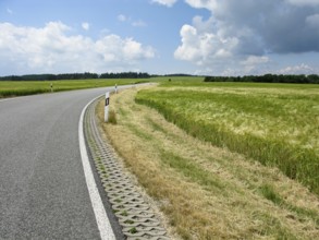 Perfect road in landscape with fields, trees, and blue sky, Germany