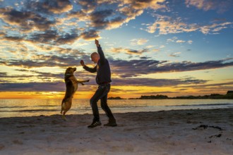 Man, dog, shepherd, standing, jumping, opposite, sunset, evening light, beach, Atlantic Ocean,