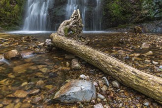Heidenbad waterfall, waterfall in the Vosges mountains. France