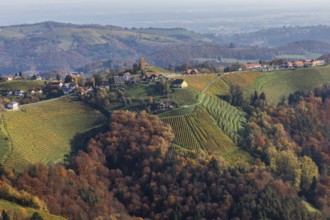 Autumn atmosphere, forest with foliage colouring, hilly landscape, vineyards, view from the