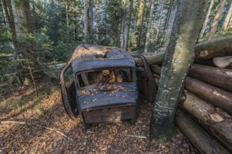 Wrecked carHudson Terraplane K Tourer Sedan built in 1935 that has been sitting in a forest for