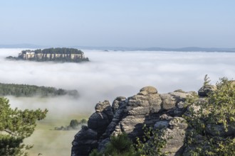 Morning atmosphere with fog in the Elbe Sandstone Mountains