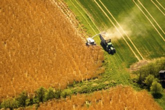 Harvesting with a combine harvester