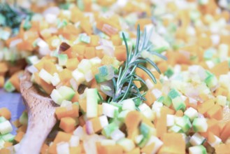 Some coloured, tastefully and healthy chopped vegetables