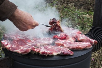 Grilled meat, pork, beef and chicken meat on barbecue, grill