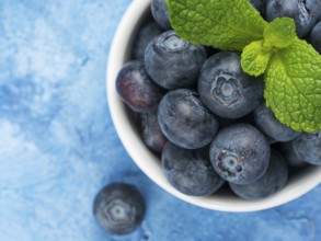 Freshly picked blueberries closeup. Ripe and juicy fresh blueberry with green mint leaves on