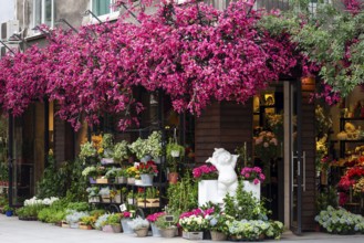 Fresh flowers outside of a florist shop. Pink flower tree