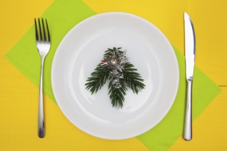 White plate and green Christmas decoration on the yellow wooden table.Top view.Flat Lay Image