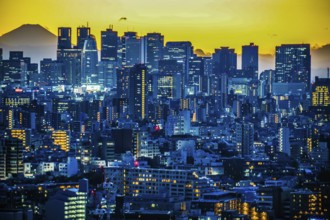 Sunset from the Bunkyo Civic Center (Shinjuku). Shooting Location: Tokyo metropolitan area