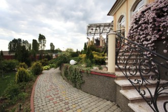 Beautiful house yard with different plants