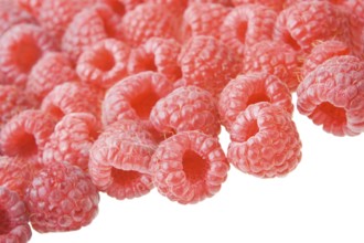 Background of Raspberry with copyspace
