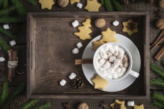 Cup of cocoa with marshmallow and a cookie in the form of stars. Christmas decor