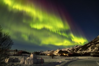 Northern Lights on the E10, Lofoten, Nordland, Norway
