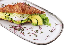 food still-life, Croissant benedict salmon with poched egg, served with fresh salad