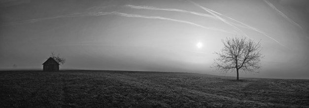 Panorama, morning mood in a misty haze