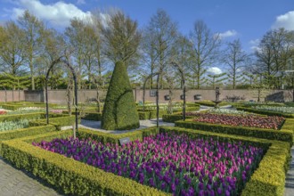 View of flowerbed in Keukenhof garden, Netherlands