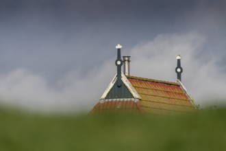 Colorful gable of a farm behind a green dike in northern Netherlands