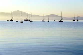 Sailing boats, dawn in the bay of Puerto de Pollensa, Port de Pollenca, Majorca, Majorca, Balearic