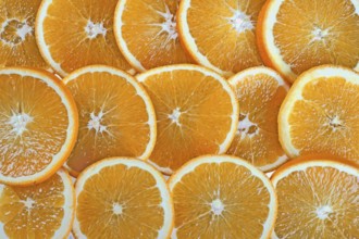Background made from orange slices