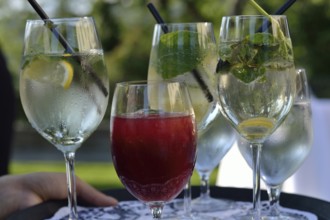 Selection of soft drinks
