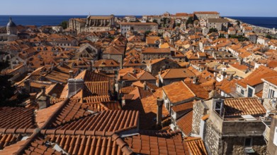 Old Town of Dubrovnik, Dalmatia, Croatia
