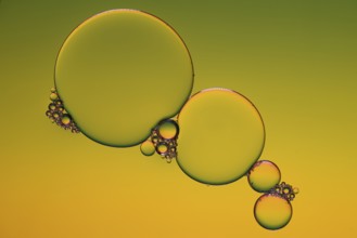 Abstract, image of oil, water and soap in a glass bowl with colourful background creating beautiful