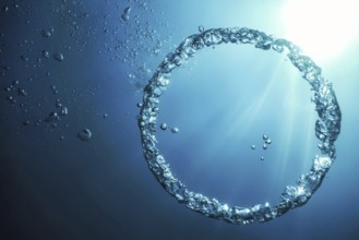 Bubble Ring Underwater ascends towards the Sun