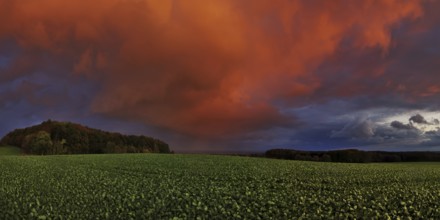 Panorama of storm clouds in the sunset
