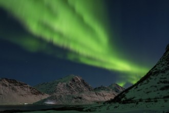 Northern Lights (Aurora borealis), Aurora Borealis, Lofoten, Norway
