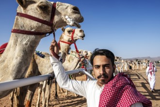 Sheikh with his racing camel at the Al Ula Camel Cup in the Mughayra Heritage Sports Village, Al