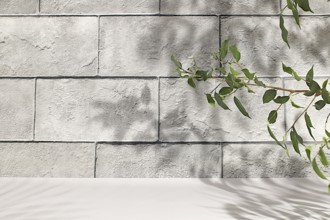 Concrete wall with hard shadows from palm leaves, Premium empty podium.Minimal abstract background