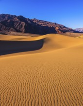 Bright solar morning in picturesque part of Death Valley. Gentle slopes of sandy barkhans shine
