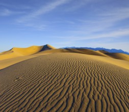 Early morning, sunrise in Death Valley, California. Magnificent sandy waves on dunes