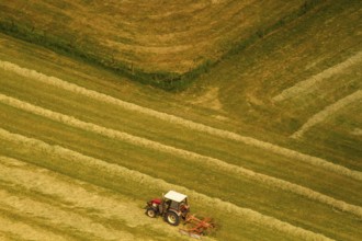 Agriculture, Farm with a tractor on a field, Diagonals, Field, Fields