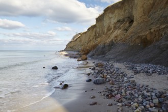 On the Hohes Ufer cliffs between Ahrenshoop and Wustrow on the Fischland peninsula,