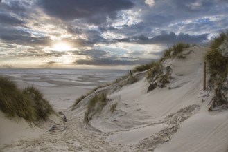 Amrum1_63A7979.jpeg