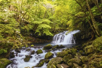 The magnificent Tateshina Otaki Falls on the famous Venus Line road, famous as a scenic driving
