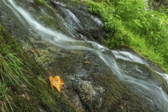 Waterfall of fresh water in the mountain in autumn. Alsace, France