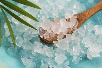 Water kefir grains