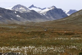 Veodalen, Veobretind, Jotunheimen, Norway, Norway