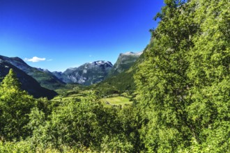 Impressive nature on the pass road to Geiranger in Norway in the summertime. On the road through