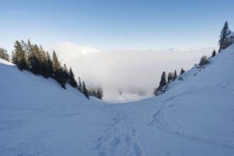 Fantastic snowshoe tour on the Hochgrat at the Nagelfluhkette in Allgau, Bavaria