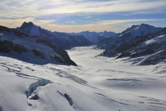 Aletsch glacier and mountains. View from Jungfraujoch, Switzerland