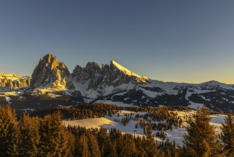 Afternoon on the Alpe di Siusi, South Tyrol, Italy