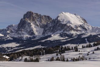 Hike on the Alpe di Siusi, South Tyrol, Italy