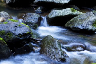 A cool stream with water and stones in the mountains. Unspoilt nature, Austria